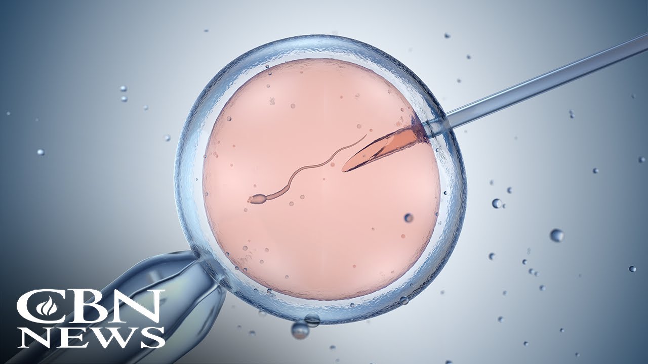 State Supreme Court's IVF Ruling Ignites Debate Over Personhood of Embryos