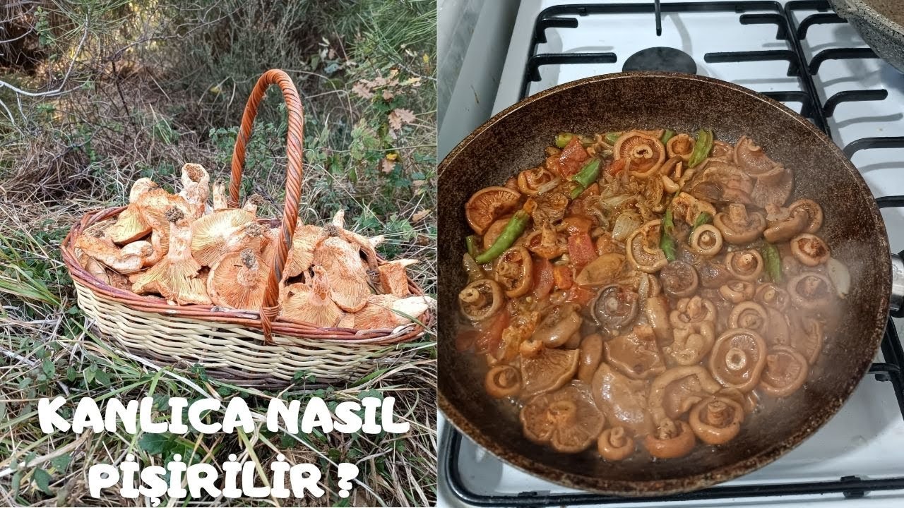 KANLICA MANTARI NASIL PİŞİRİLİR EFSANE AROME VE KOKUSUYLA KANLICA MANTARI TARİFİ AFİYET OLSUN