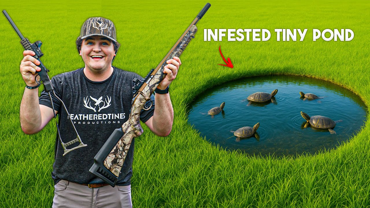 Cheap vs Expense PAWN SHOP Turtle Hunting Challenge!