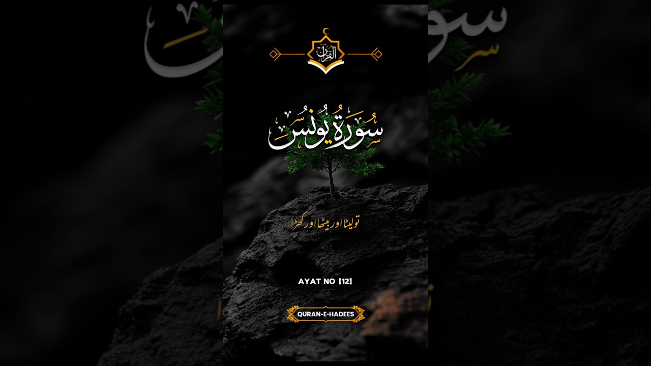 A Quran Verses Recitation timeless message for humanity's soul. #deepsoul #islam  #spiritual
