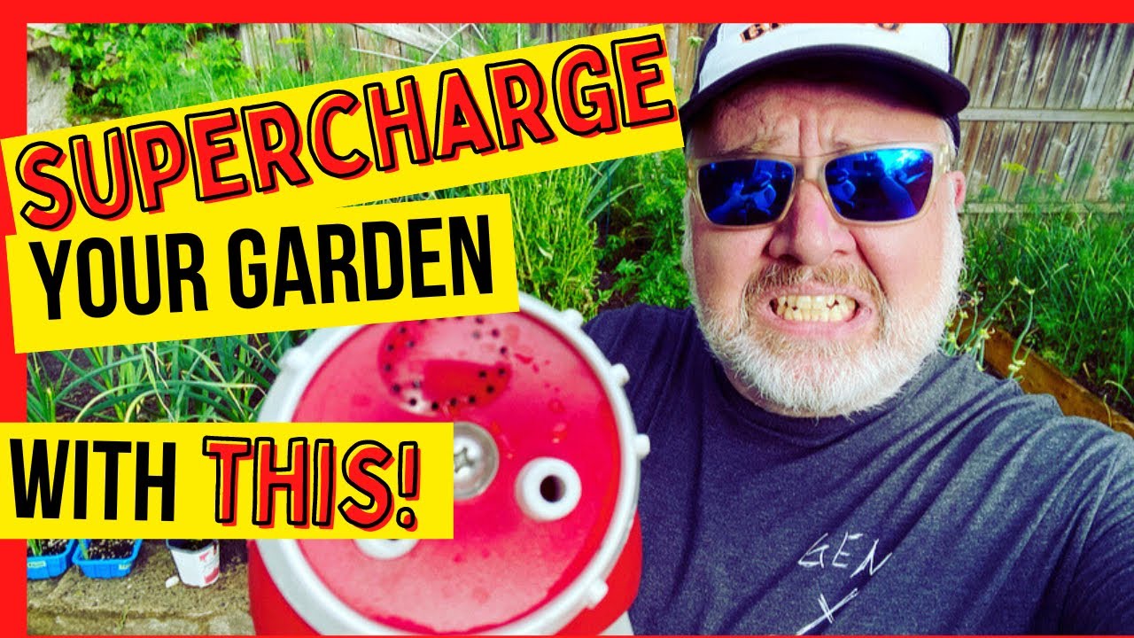 Kelp and Humic Acid: A Garden MUST