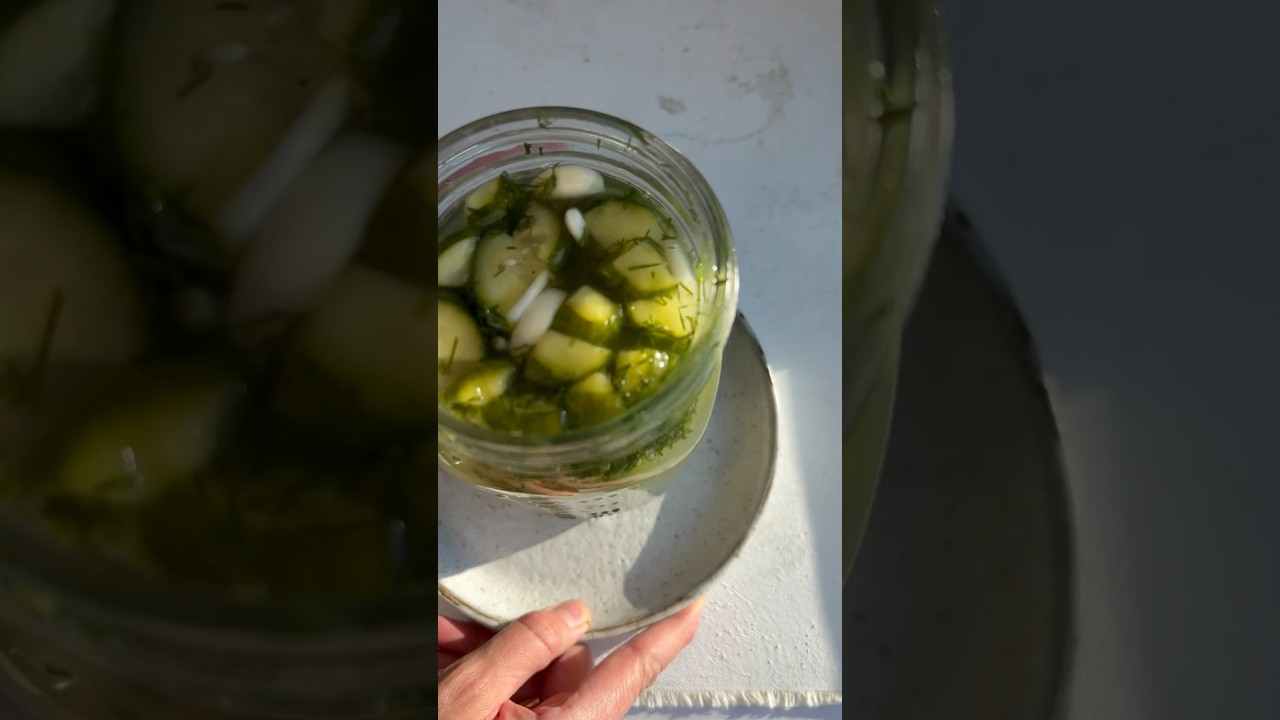 Easy Garlic Dill Fermented Pickles