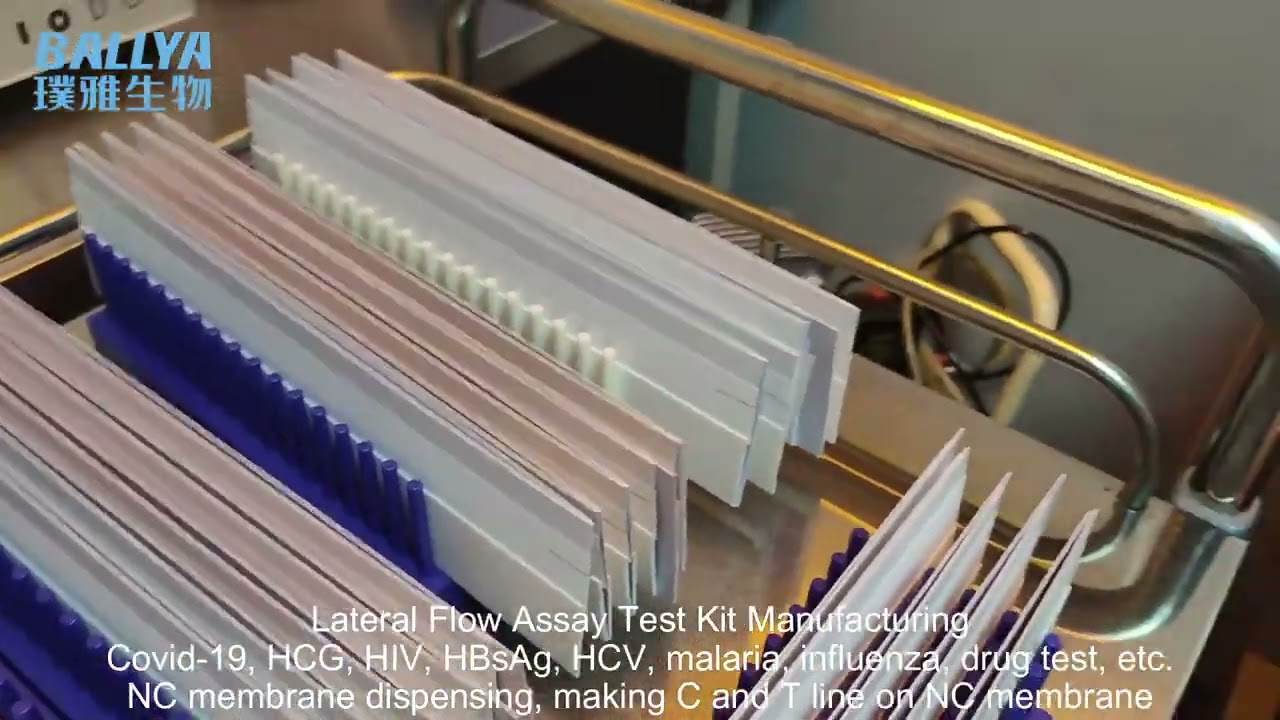 Lateral Flow Assay Development -NC Membrane Dispensing And Drying Process In POCT Test Manufacturing