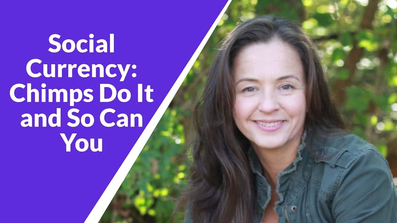 Social Currency in the Wild: How Chimpanzees Build Trust—and How You Can Too