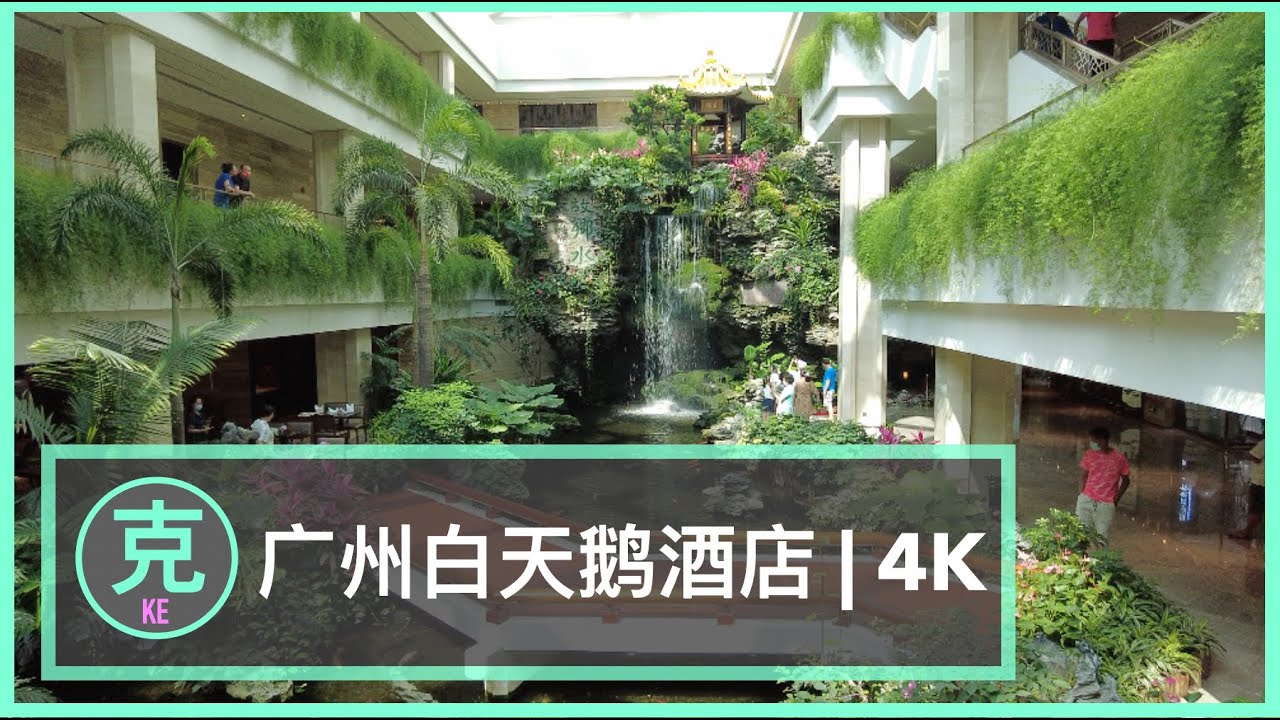 4K Relax in Guangzhou White Swan Hotel | 广州白天喝酒店放松