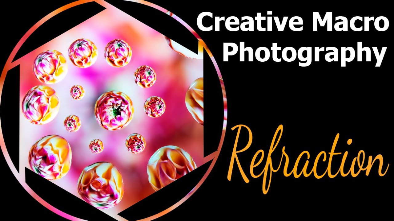 Macro Photo Tutorial: Refraction 101