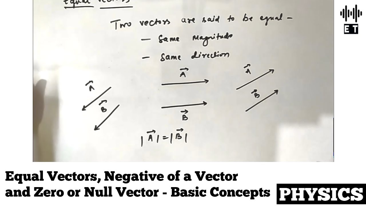Equal Vectors, Negative of a Vector and Zero Vector | Basic Concepts | Basic Physics