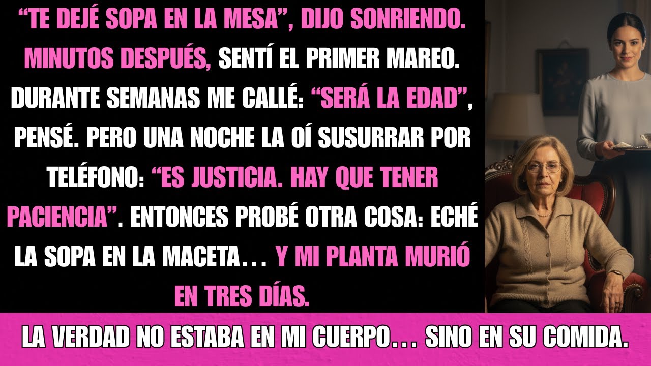 “Hoy cocino yo por ti”, dijo mi nuera sonriendo. Dos horas después…