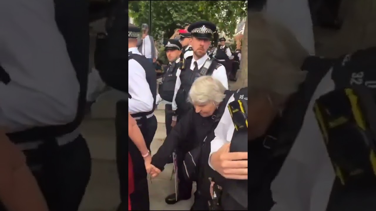 Reverend Sue Parfitt, aged 83, arrested for supporting Palestine Action