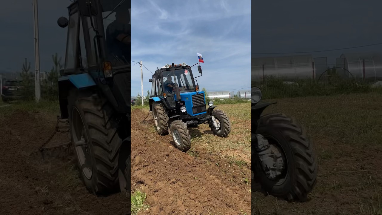 МТЗ 82 ВСПАШКА УЧАСТКА #traktor #belarus #техника #деревня #огород #дача #лайк #подпишись #трактор