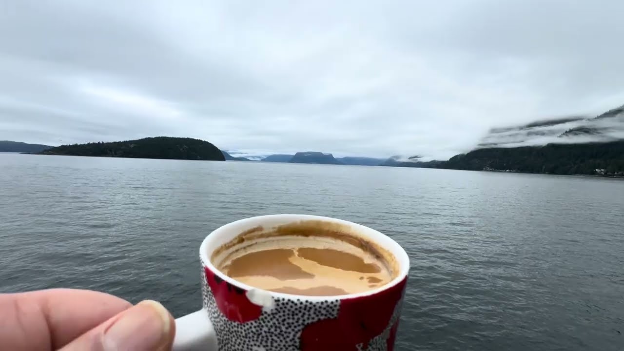 Enjoy Your Daily Coffee With Vahid & Eagles🦅 🦅 ☕️🌿 | Ocean View 🌊🦅 Cheers 😊☕️