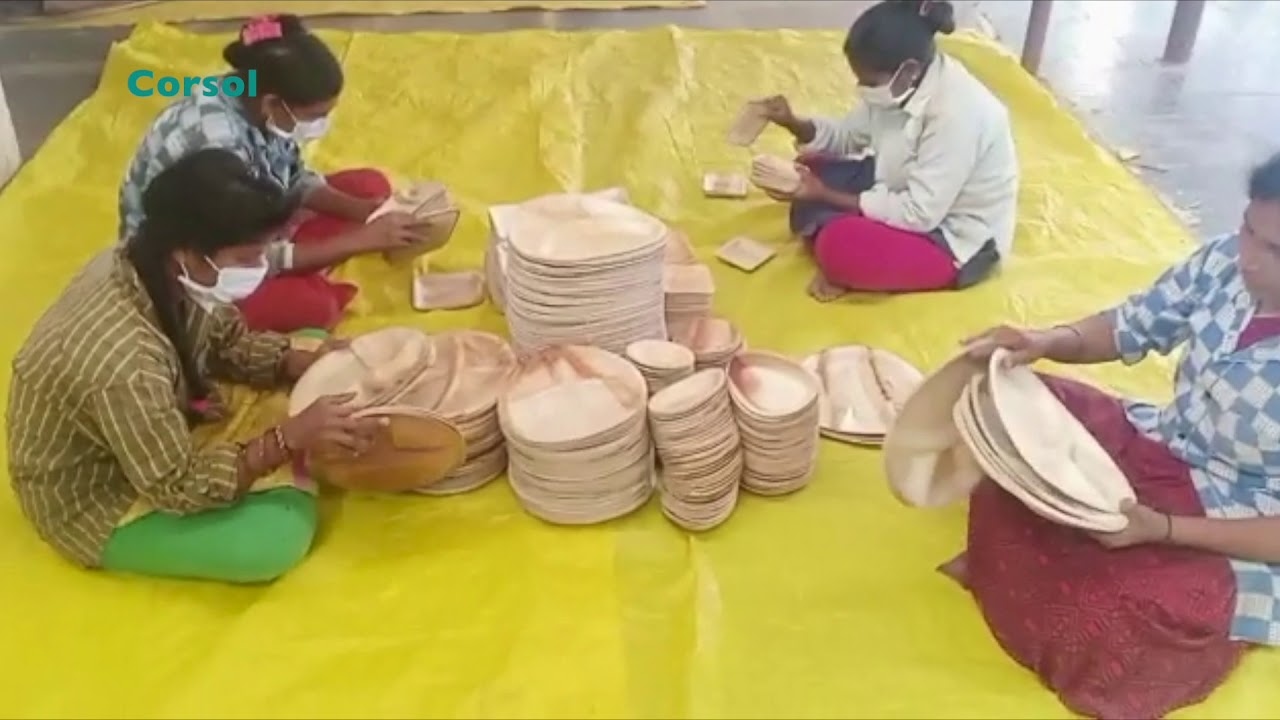 Areca Palm Leaf Products   Corsol