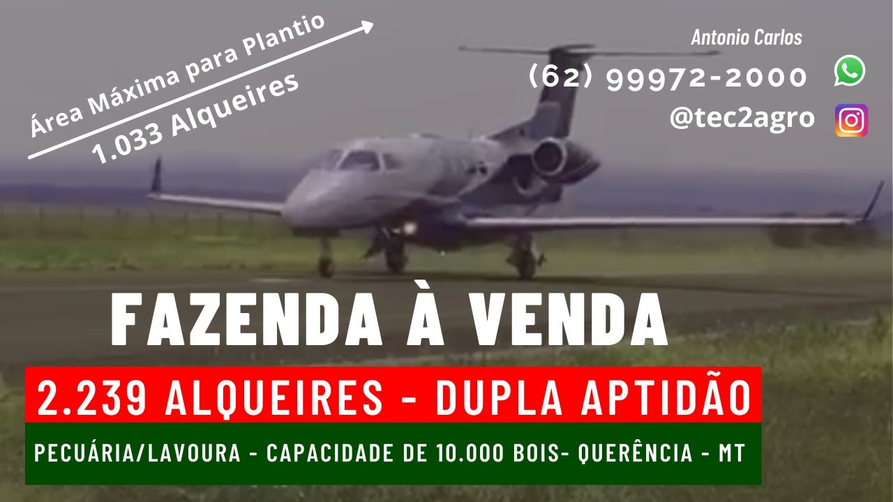 [⚠️DUPLA APTIDÃO] Fazenda a Venda no Mato Grosso  2.239 Al Querência [🌱Soja e Gado🐄] (🛑 VENDIDA )