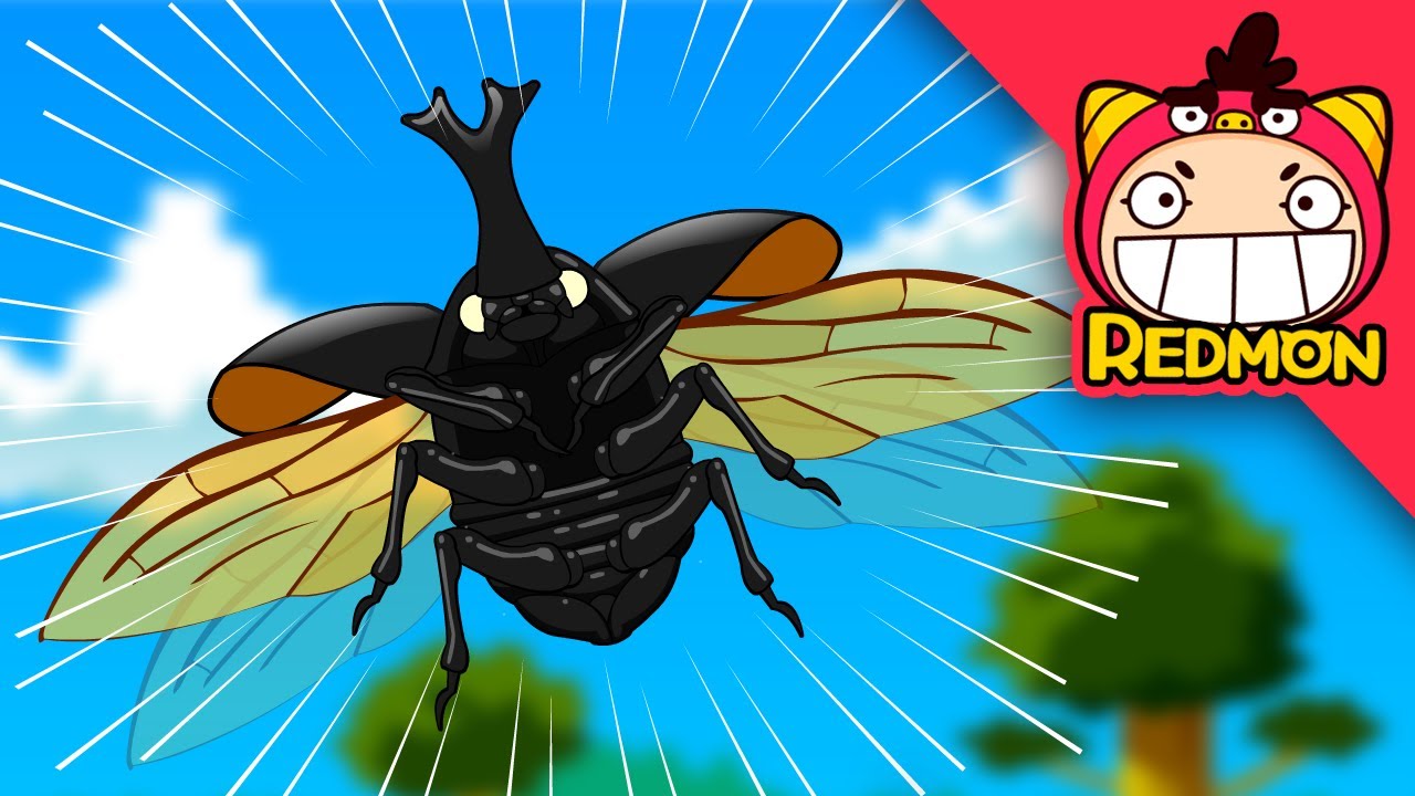 The ultimate winner and a shedding grasshopper | Insect world #02 | REDMON