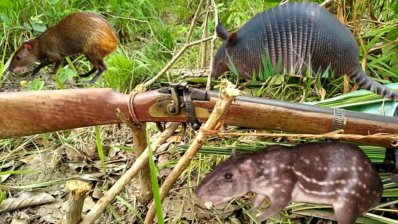 ARMADILHA com BATE-BUCHA ou ESPINGARDA DE CARTUCHOS. por favor leiam a descrição!