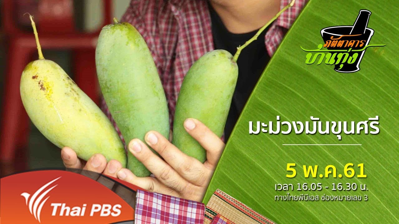 ภัตตาคารบ้านทุ่ง : มะม่วงมันขุนศรี (5 พ.ค. 61)