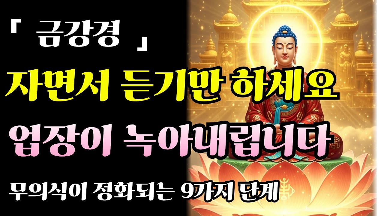 [자면서듣는불경] 금강경ㅣ 마음이 치유됩니다ㅣ밤마다 반복하는 금강경 법문ㅣ무의식의 수행ㅣ부처님 말씀#부처님말씀 #불교명상 #금강경