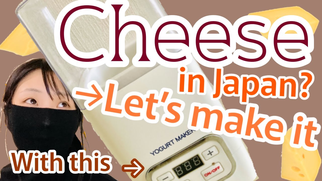 Cheese in Japan? Let's make one! Making cream cheese using yogurt maker in Japan (while talking)