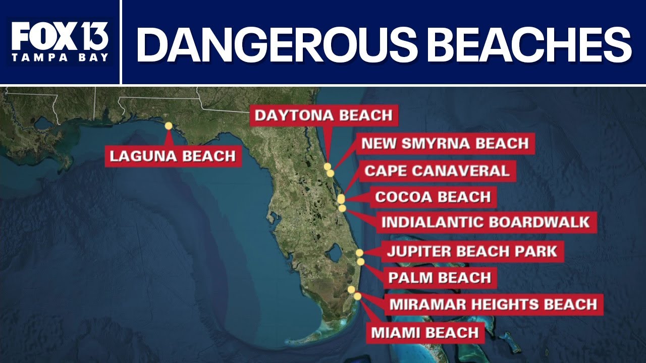 Are Florida beaches safe? Experts weigh in