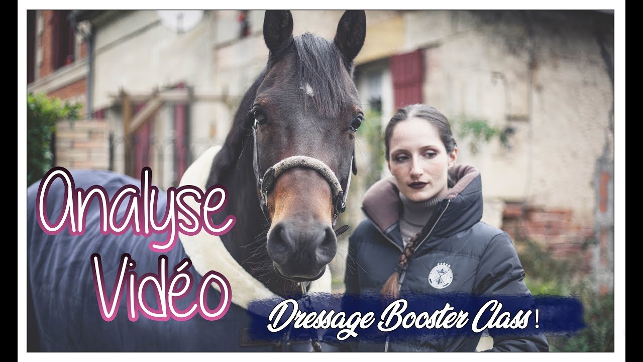 [ANALYSE VID&Eacute;O #1] CHEVAL QUI CHAUFFE APR&Egrave;S AVOIR GALOP&Eacute; ! - Passion Dressage -