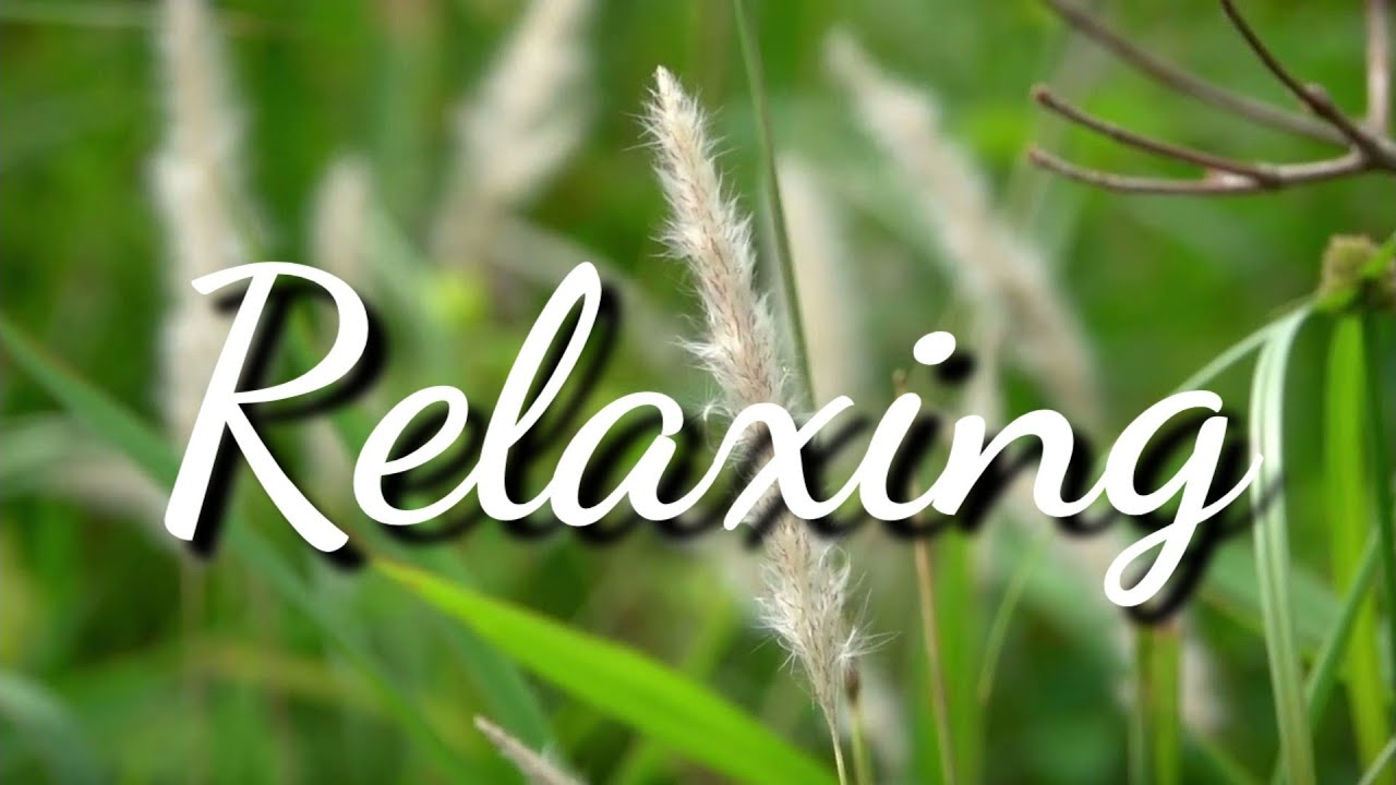 1 Minute Relaxing Music - Peaceful Ambient - Stress Relief - Nature Background - Meditation