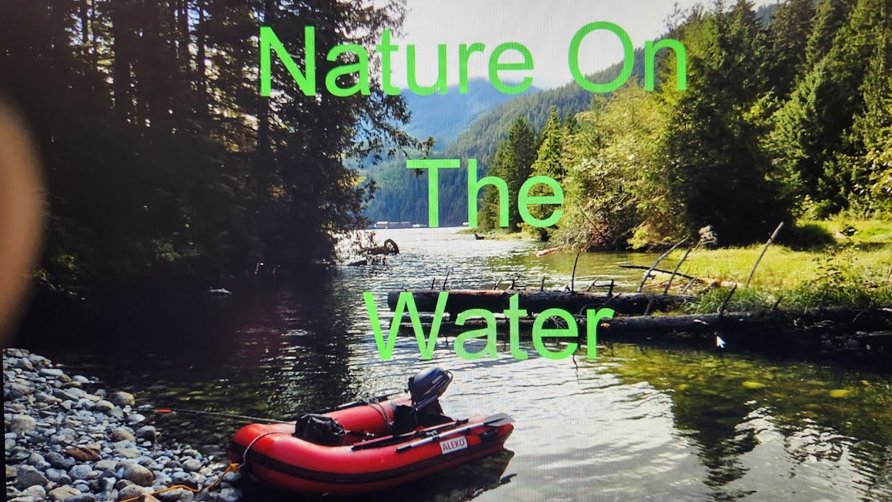 Nature From The Water #4