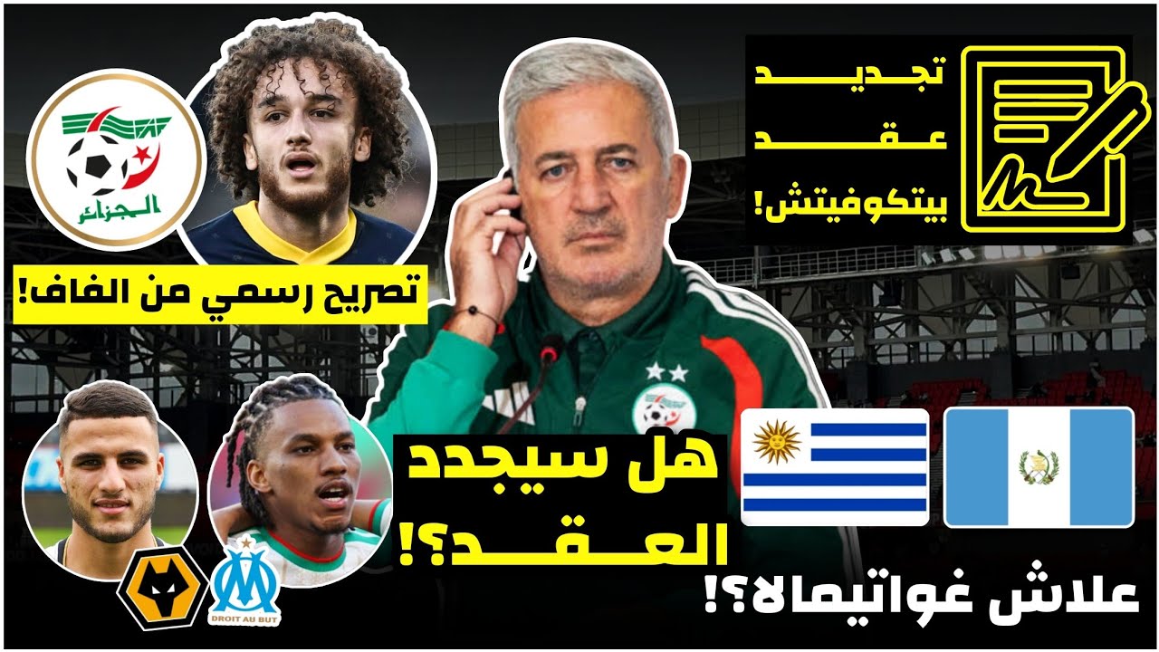 رسميا الفاف تعرض تجديد عقد بيتكوفيتش، هل سيقبل؟/علاش غواتيمالا بالضبط؟/رد رسمي من الفاف عن ماسولين🔥