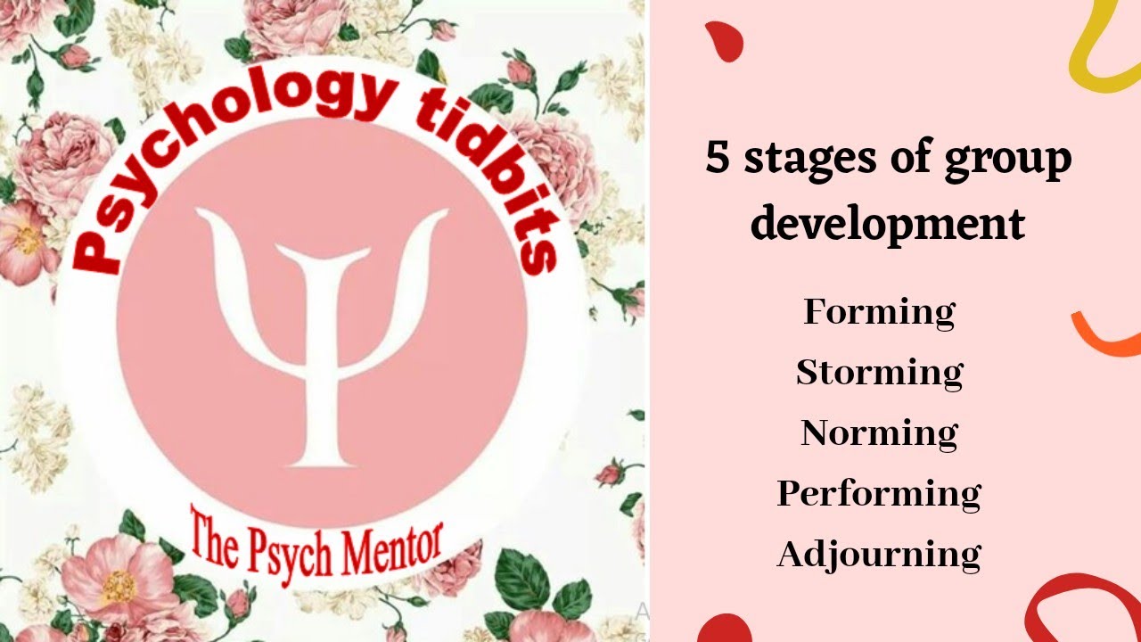 Stages of group development || Psychology tidbits