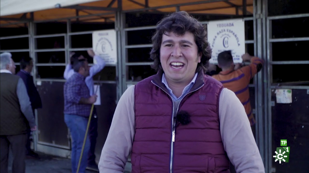 Todo Caballo | La equitación de trabajo y la raza anglo-árabe