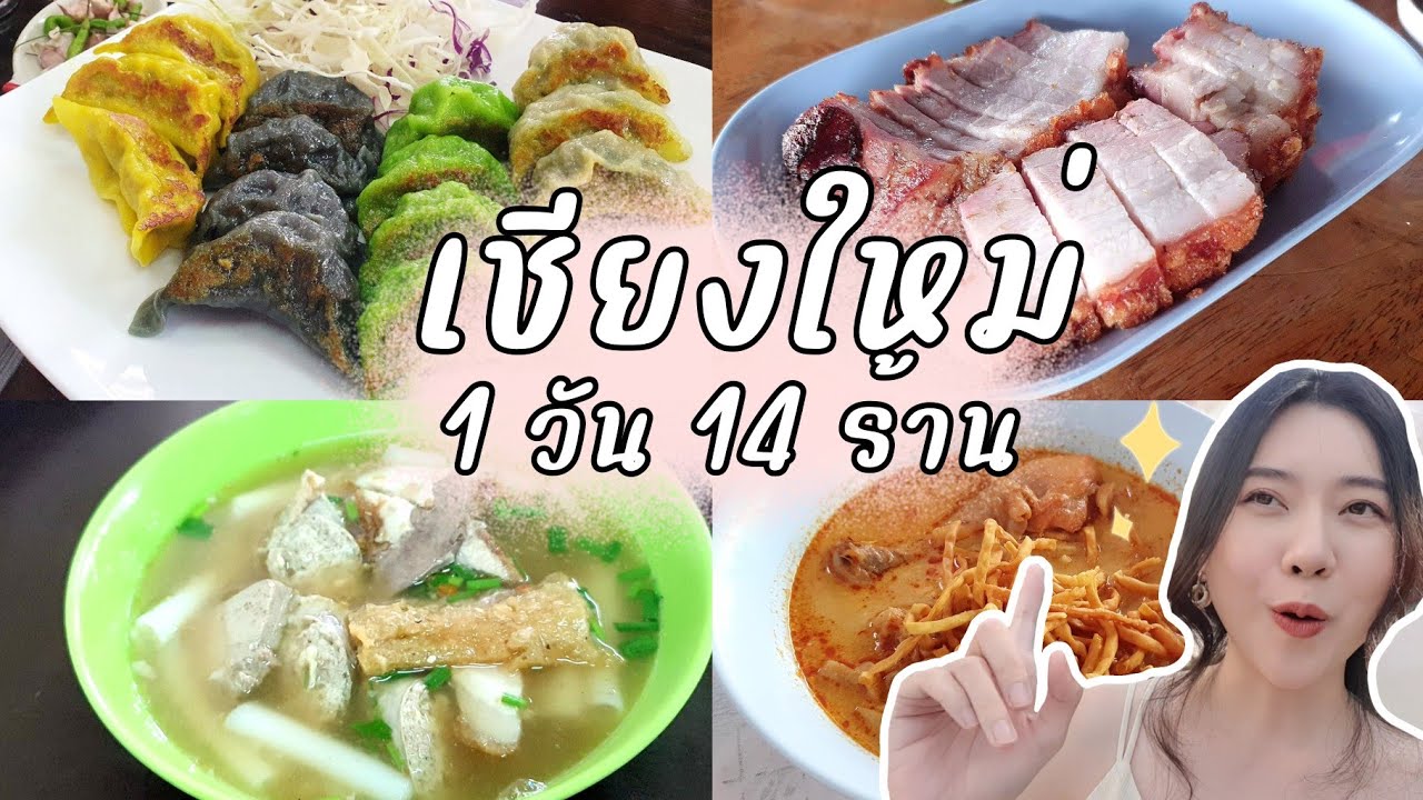เชียงใหม่ 14 ร้านใน 1 วัน อิ่มพุงแตก แหลกไม่หยุด | Ning Laksanar