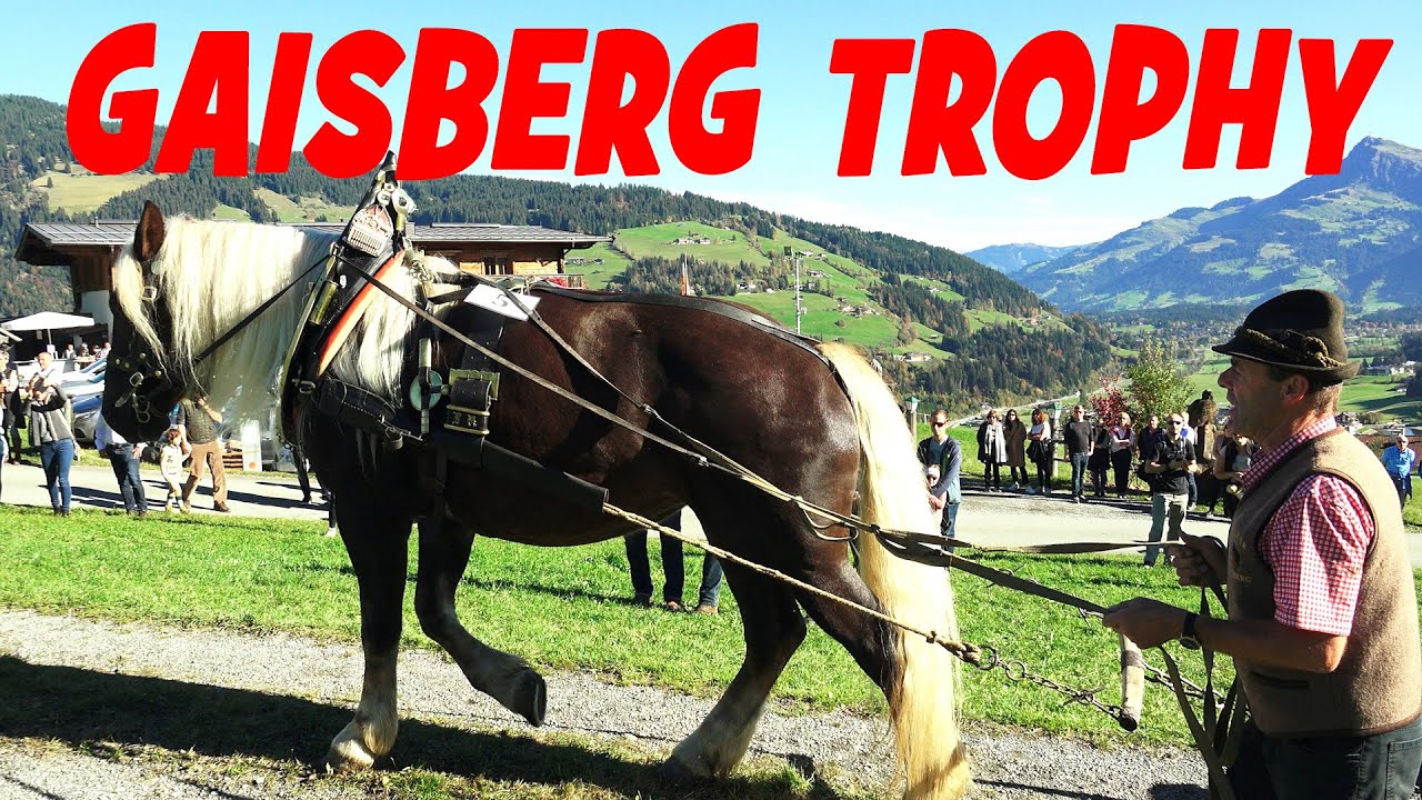 Gaisberg Trophy - Norikerverein Kirchberg in Tirol