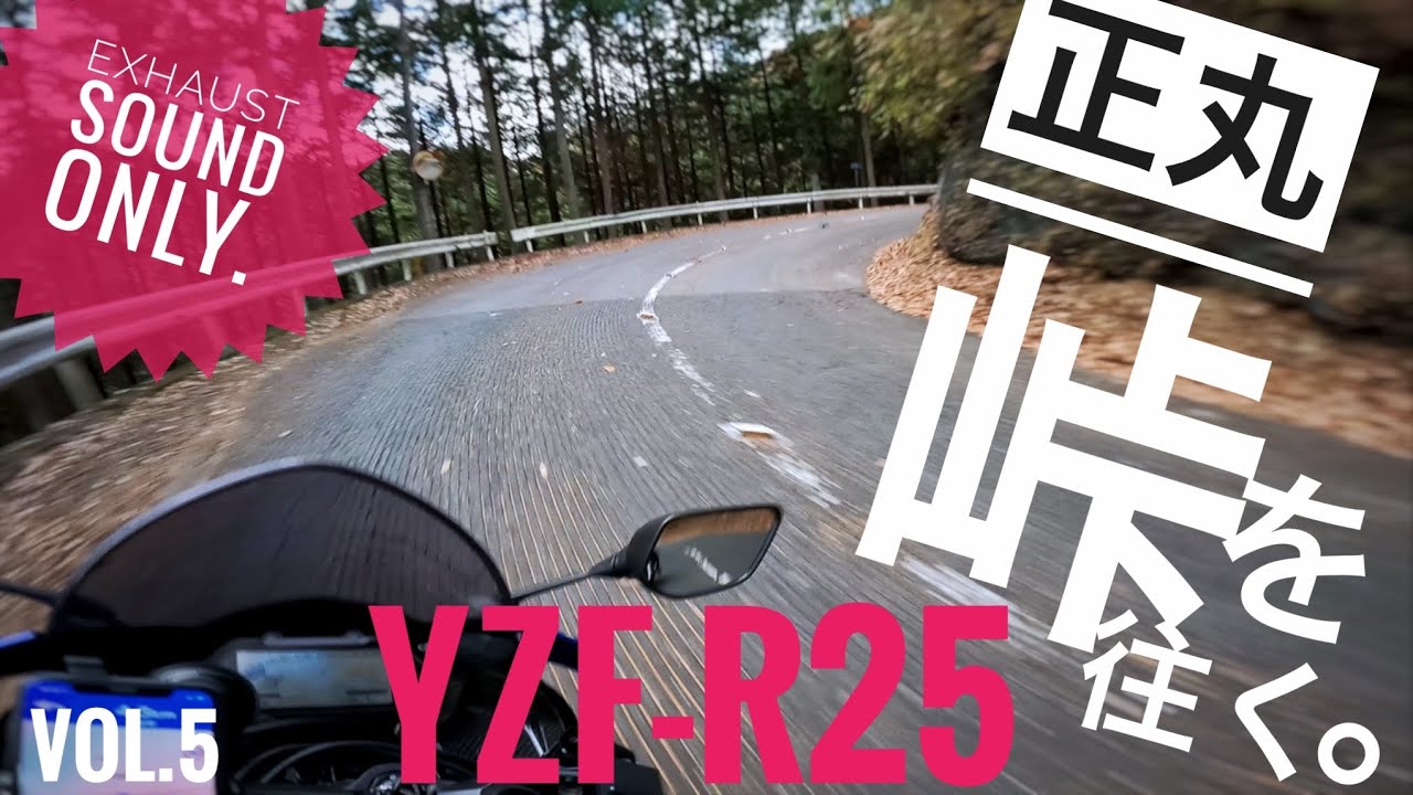 【YZF-R25ｶｽﾀﾑ紹介ｱﾘ】排気音にこだわるワインディング 正丸峠【4K】