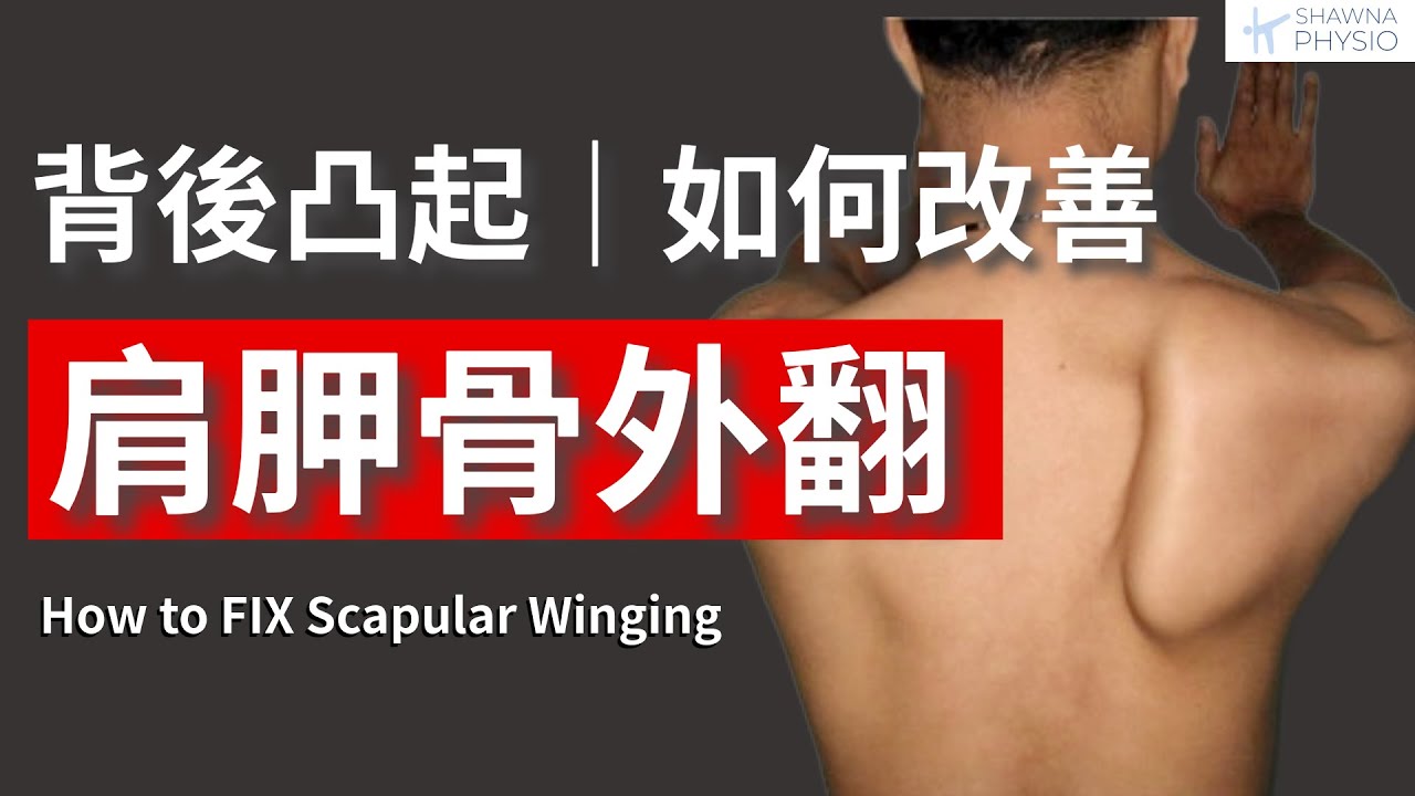 【改善翼狀肩胛】肩胛骨外翻？三個動作讓你恢復穩定、肩膀不再卡！