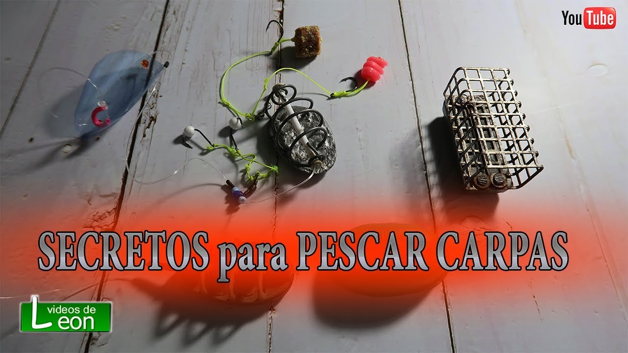 Mejor Aparejo Para Pescar CARPAS 🐟 TODOS LOS SECRETOS