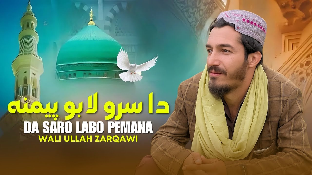 Da Saro Labo Pemana | Wali Ullah Zarqawi New Tarana 2025 | Pashto New Best Nasheed 2025