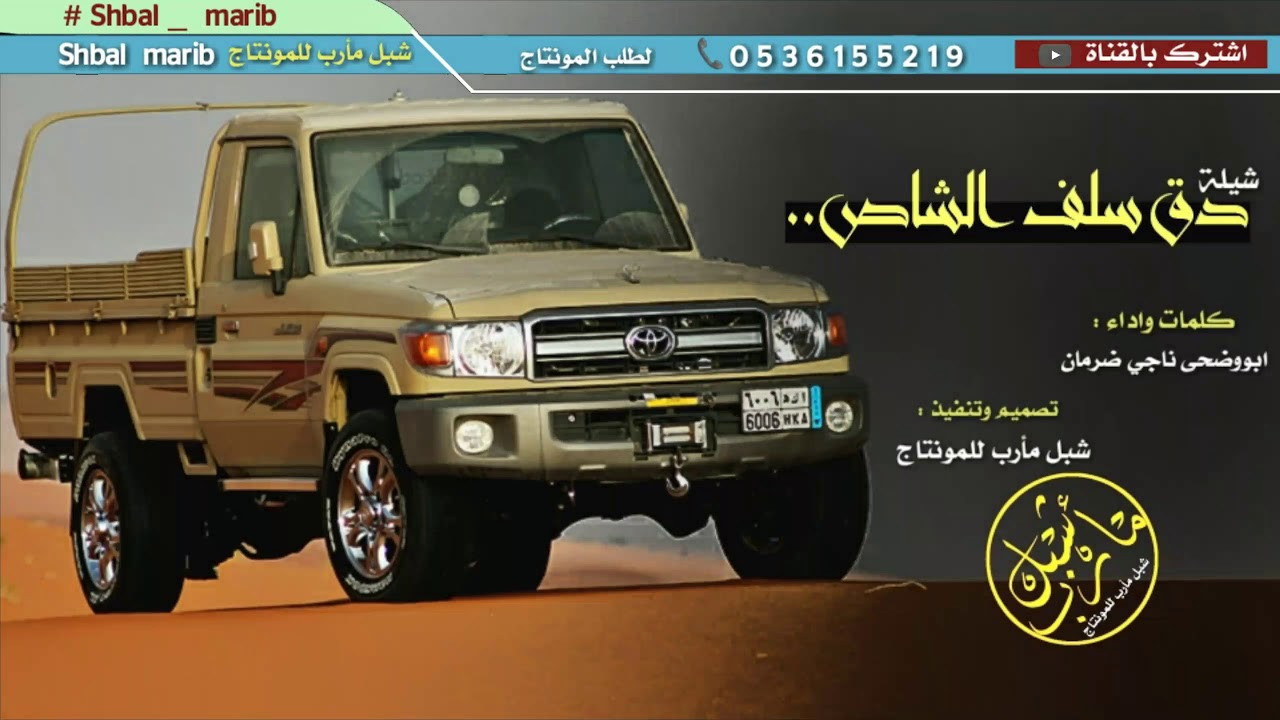 اطنخ شيله ماربيه _ ياعلي دق سلف الشاص والذيب عاوي  | كلمات واداء _ ابووضحى |