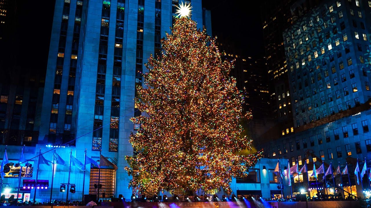 Cops Prepare for Protest at New York Christmas Tree Lighting