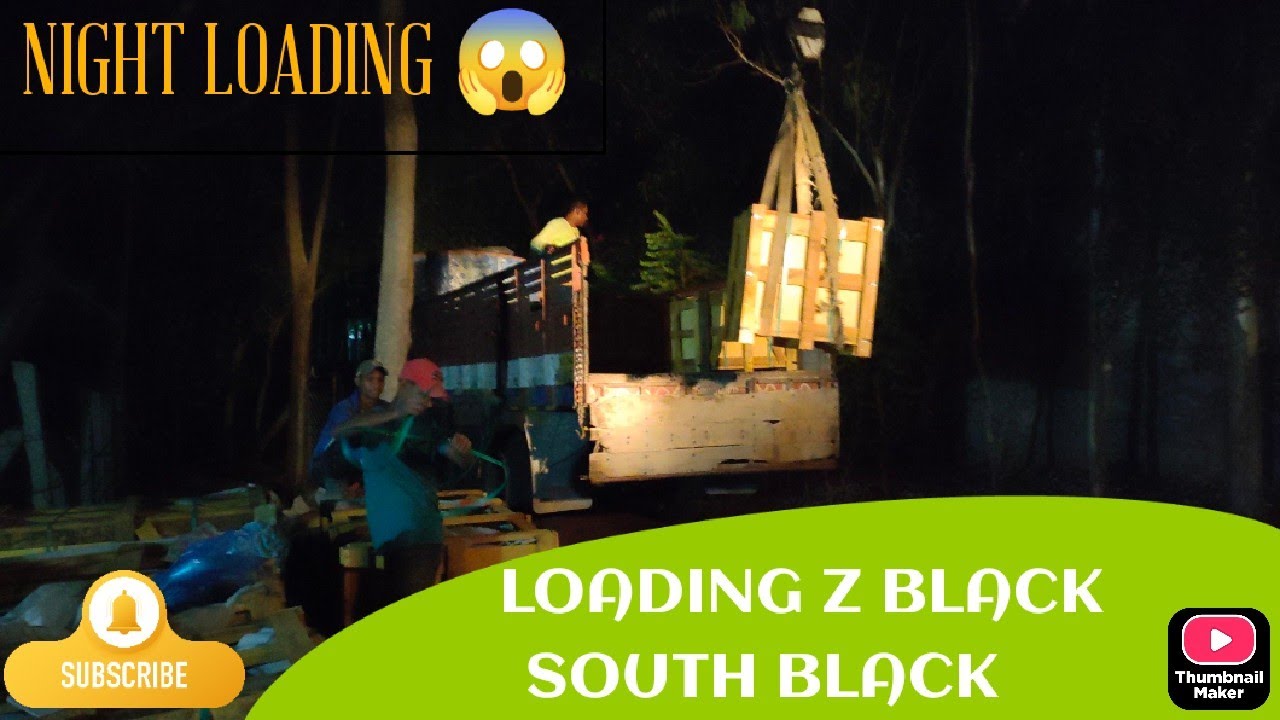 Z BLACK GRANITE|| SOUTH BLACK GRANITE ||JET BLACK ||LOADING