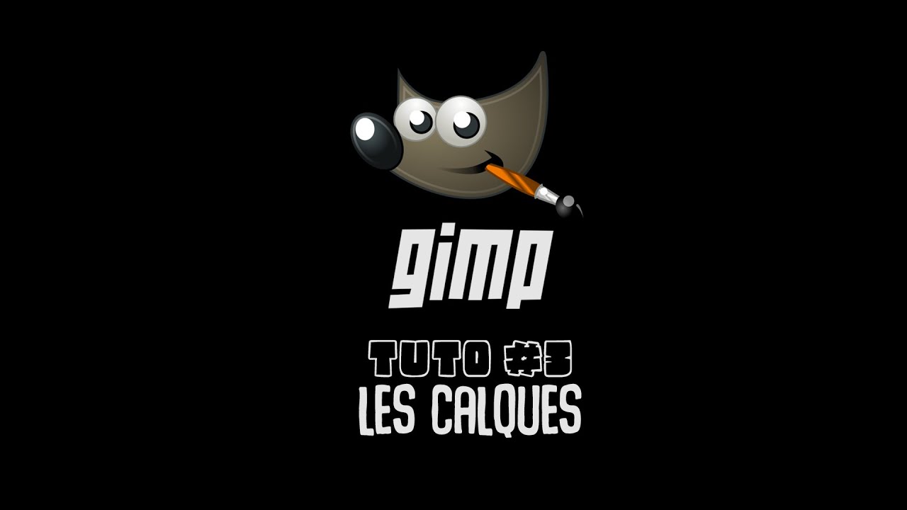 gimp  #3 