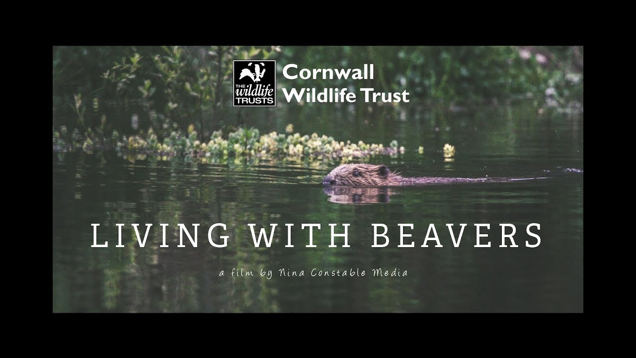 LIVING WITH BEAVERS