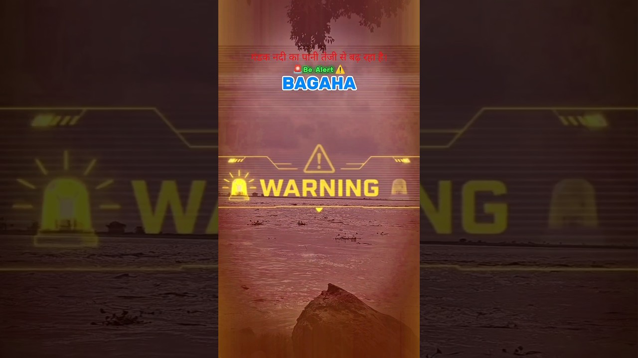 बगहा गंडक नदी का जलस्तर बढ़ा 🚨 | बाढ़ की संभावना | West Champaran Flood Alert