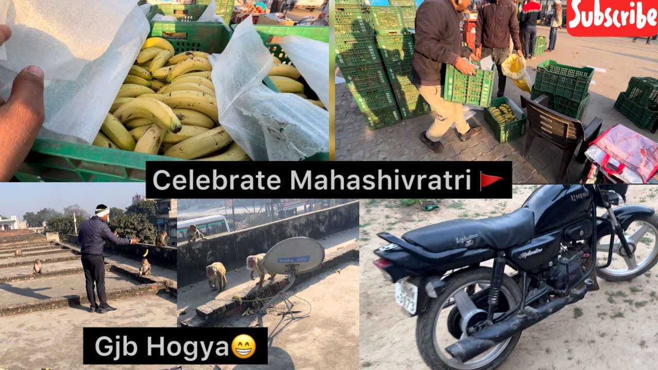 Celebrate Mahashivratri 🚩Gjb Hogya😁Aaj Toh Mja Aagya🤭Monkeys Bhai Ke liye Seba Paani Karke🔥🙏🚩