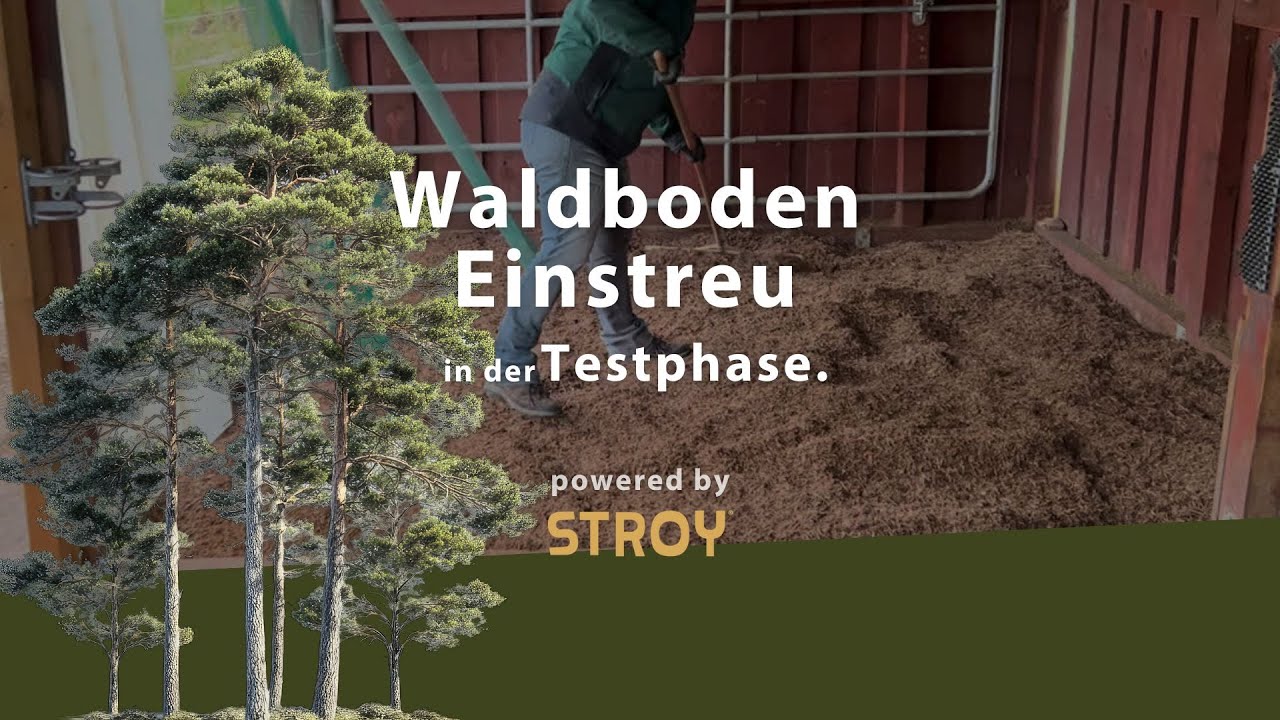 Nat&uuml;rliche Waldfrische im Pferdestall &ndash; wir starten unser Waldboden-Einstreu-Projekt!