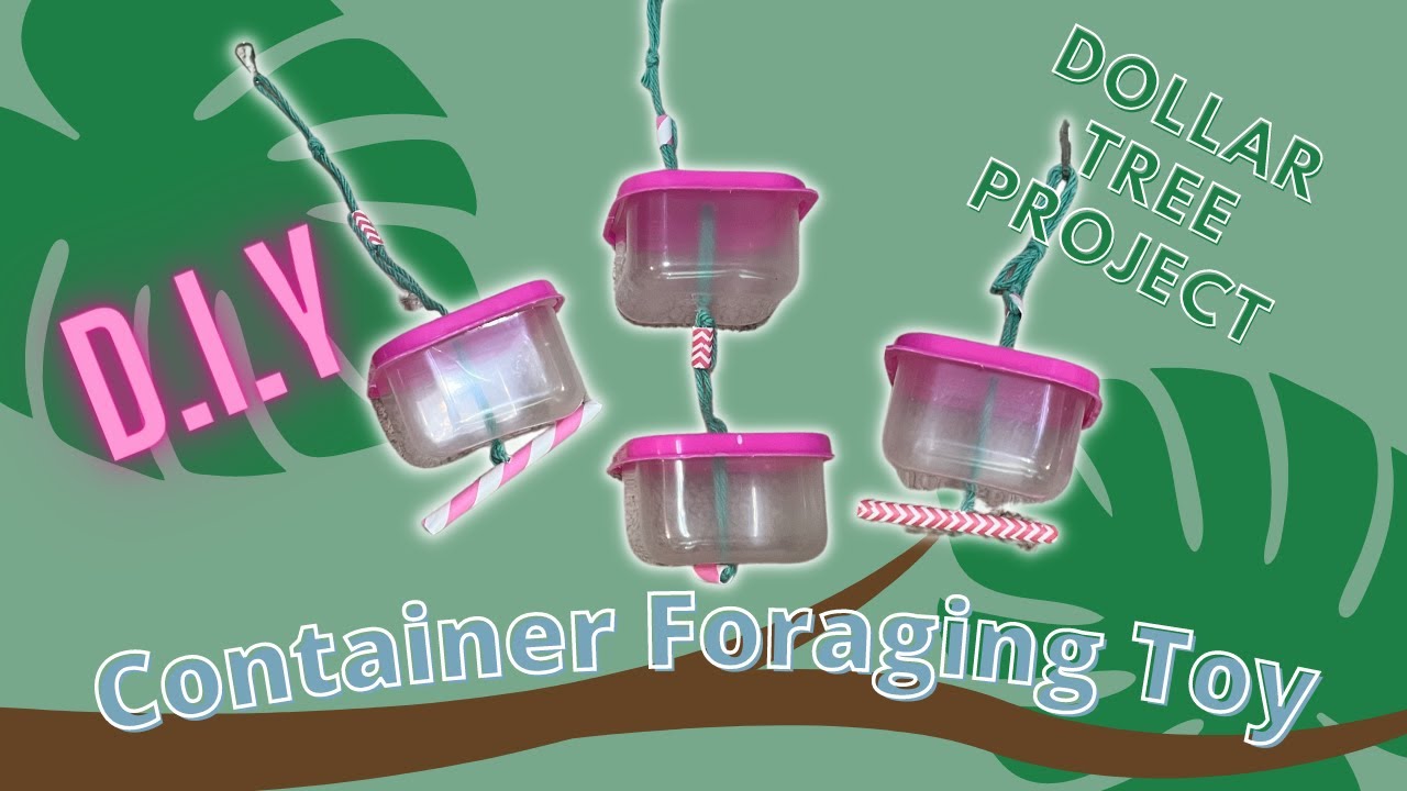 Container Foraging Toy |for pet rats| dollar tree DIY |