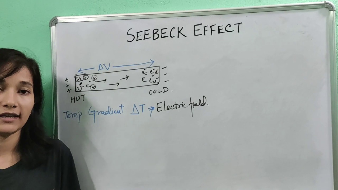SEEBECK EFFECT |  THERMOELECTRICITY |  PHYSICS