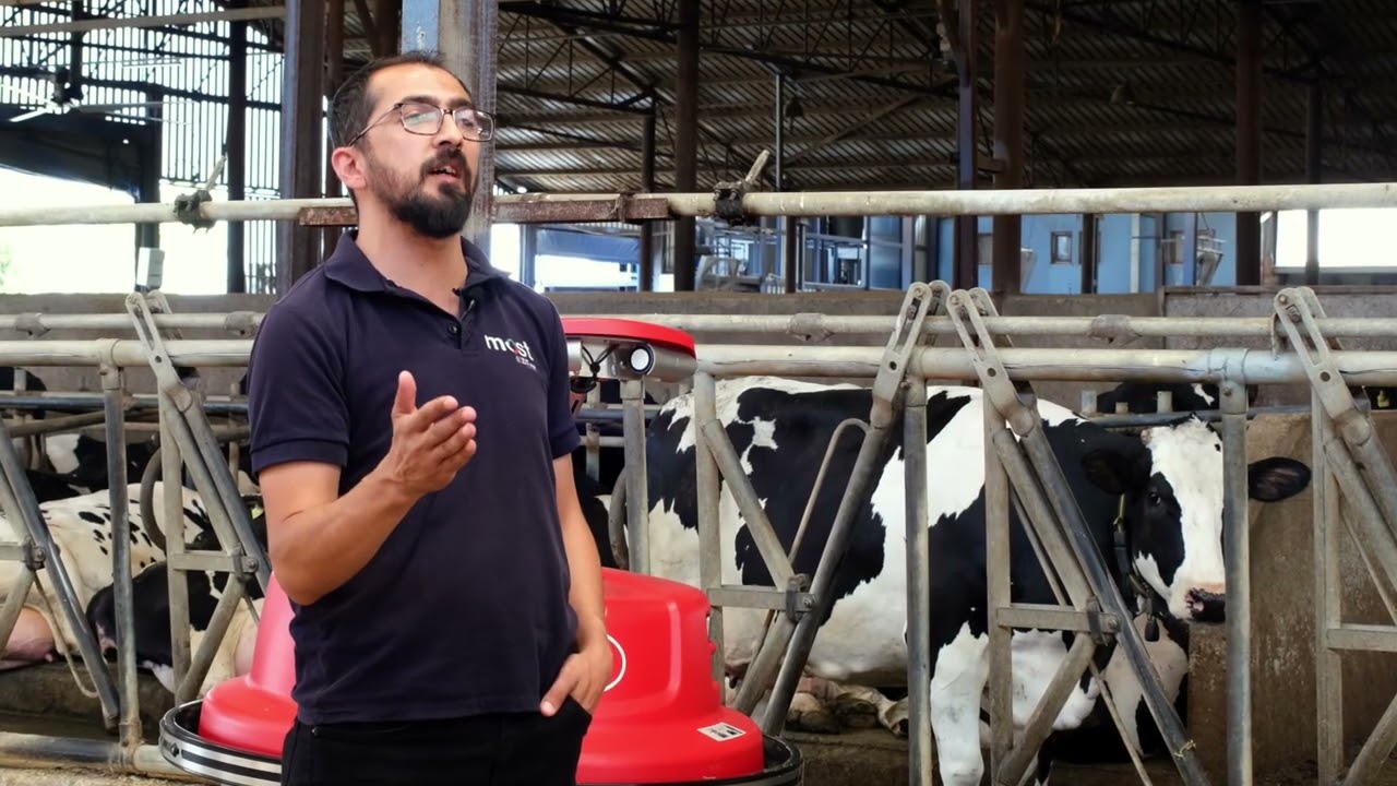 Müşteri Deneyim Videosu - Lely Juno Yem İtme Robotu | Most Süt Çiftliği / Karacabey - Bursa