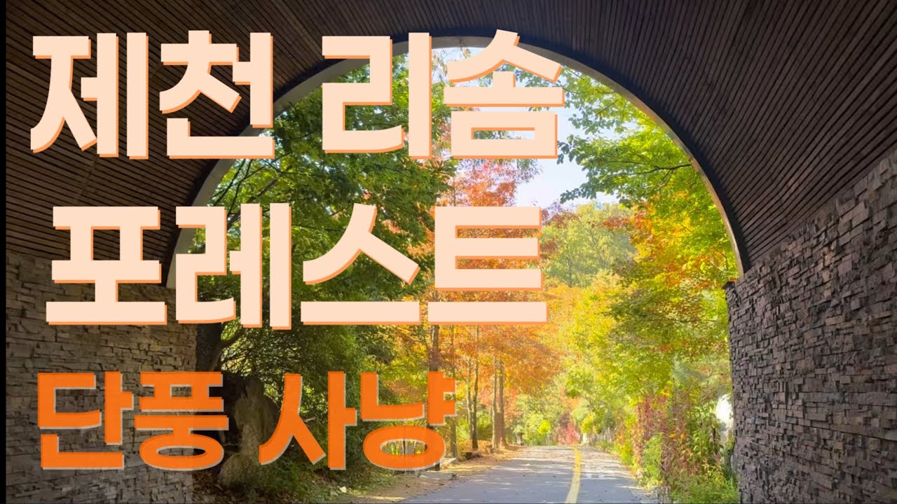 [VLOG] 제천 리솜 포레스트ㅣ가을 단풍 여행, S30와 해브나인스파
