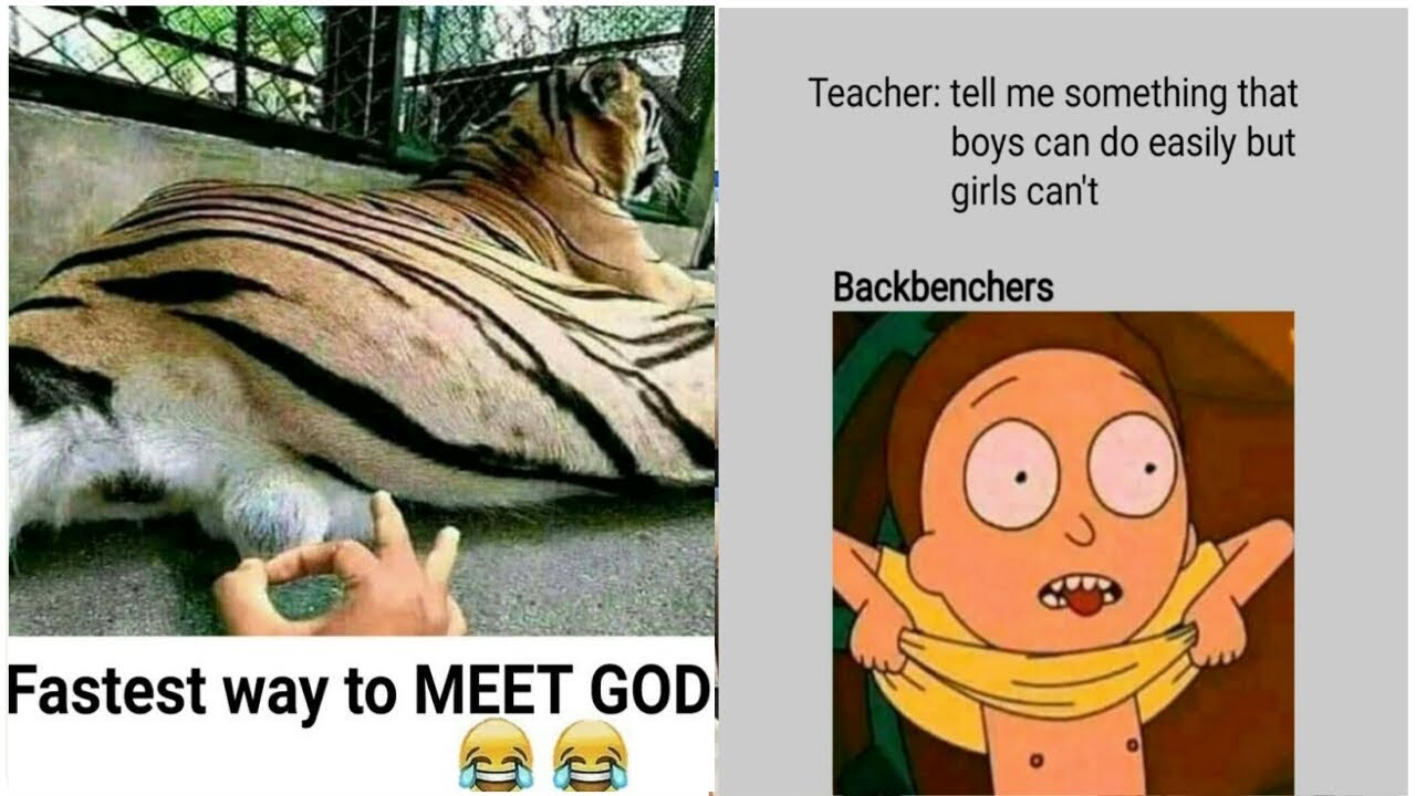 funny memes that will make you laugh#27||MRK Memes||#mrxmemes#sandeepchourasiya#funnymemes#dankmemes