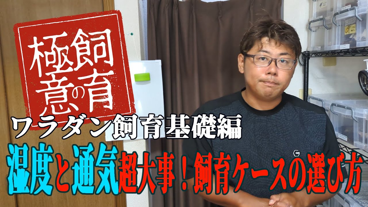 湿度と通気超大事！飼育ケージはデカいのを選ぶべし！