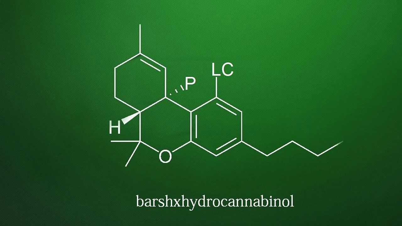 PLC x barshxhq - Canabis
